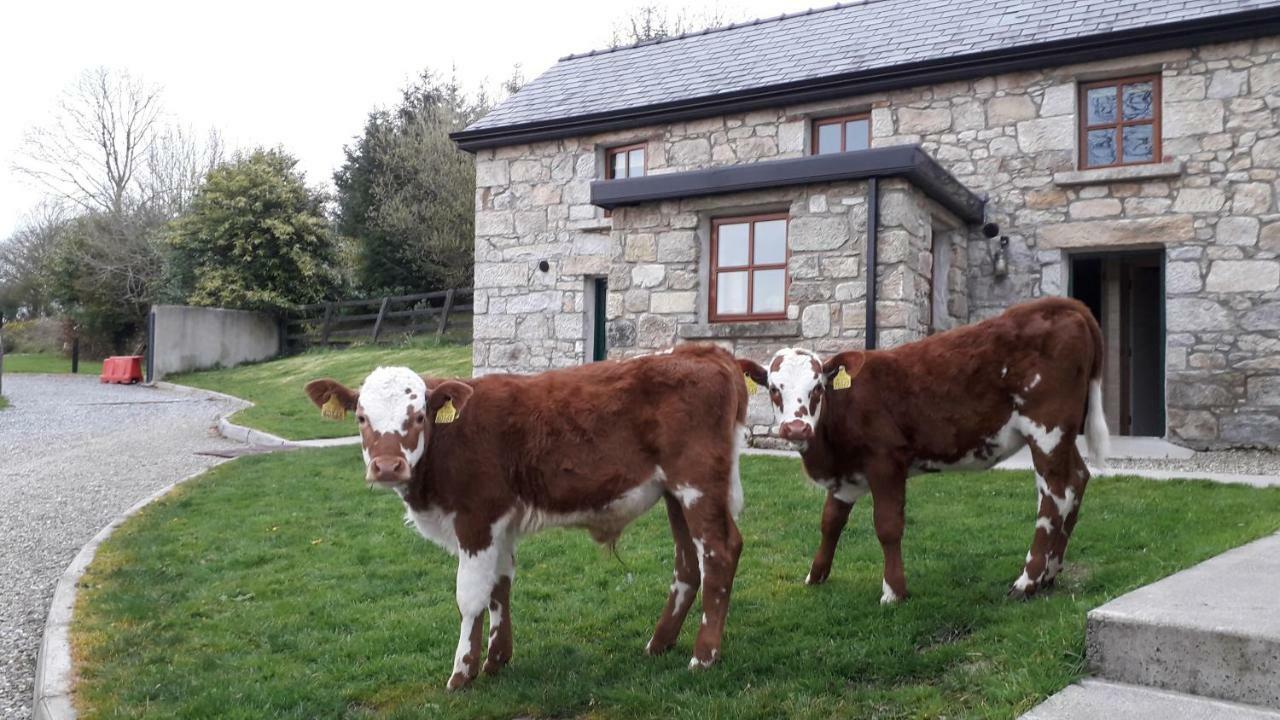 Green Adventure Ecohostel Clonmore Exterior foto